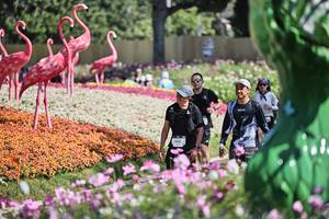 BIB: 
                            <button type="button" onclick="openModal(27793148)" class="btn btn-primary btn-sm float-right btn-popup" data-toggle="modal" data-target=".modal-high-quality">
                        <i class="fas fa-shopping-cart"></i> Add to Cart
                    </button>
                                            <button type="button" onclick="isThisMe(27793148, true)" class="btn btn-success btn-sm float-right btn-popup btn-isme hidden" data-toggle="tooltip" data-placement="bottom" title="นี่คือรูปของคุณใช่ไหม คลิกที่นี่เพื่อเอาเข้าอัลบั้ม">
                        <i class="fas fa-plus"></i> Add to album
                    </button>
                    <button type="button" onclick="isThisMe(27793148, false)" class="btn btn-warning btn-sm float-right btn-popup btn-isnotme hidden">
                        <i class="fas fa-ban"></i> Remove from album
                    </button>